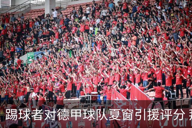 踢球者对德甲球队夏窗引援评分 拜仁第一多特第十